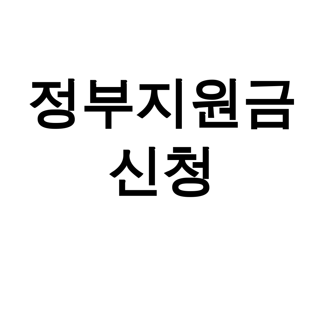 정부지원금 신청 놓치면 후회할 후기! 보조금24 꿀팁 대공개