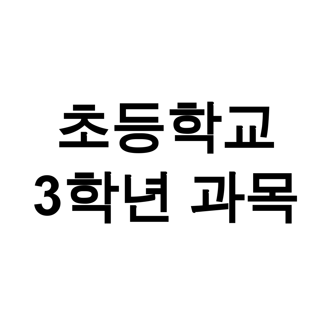 초등학교 3학년 과목